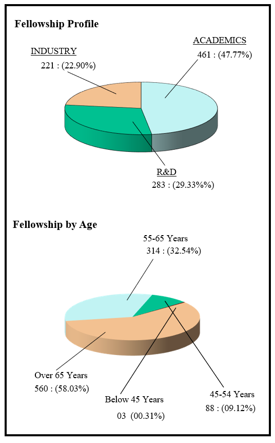 INAE Fellowship, Fellowship Profile, INAE Fellowship Profile